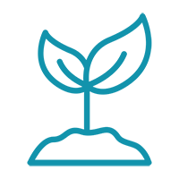 30000-equivalent-of-trees-planted
